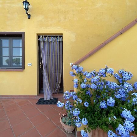 Serra Destri Riparbella Exterior foto