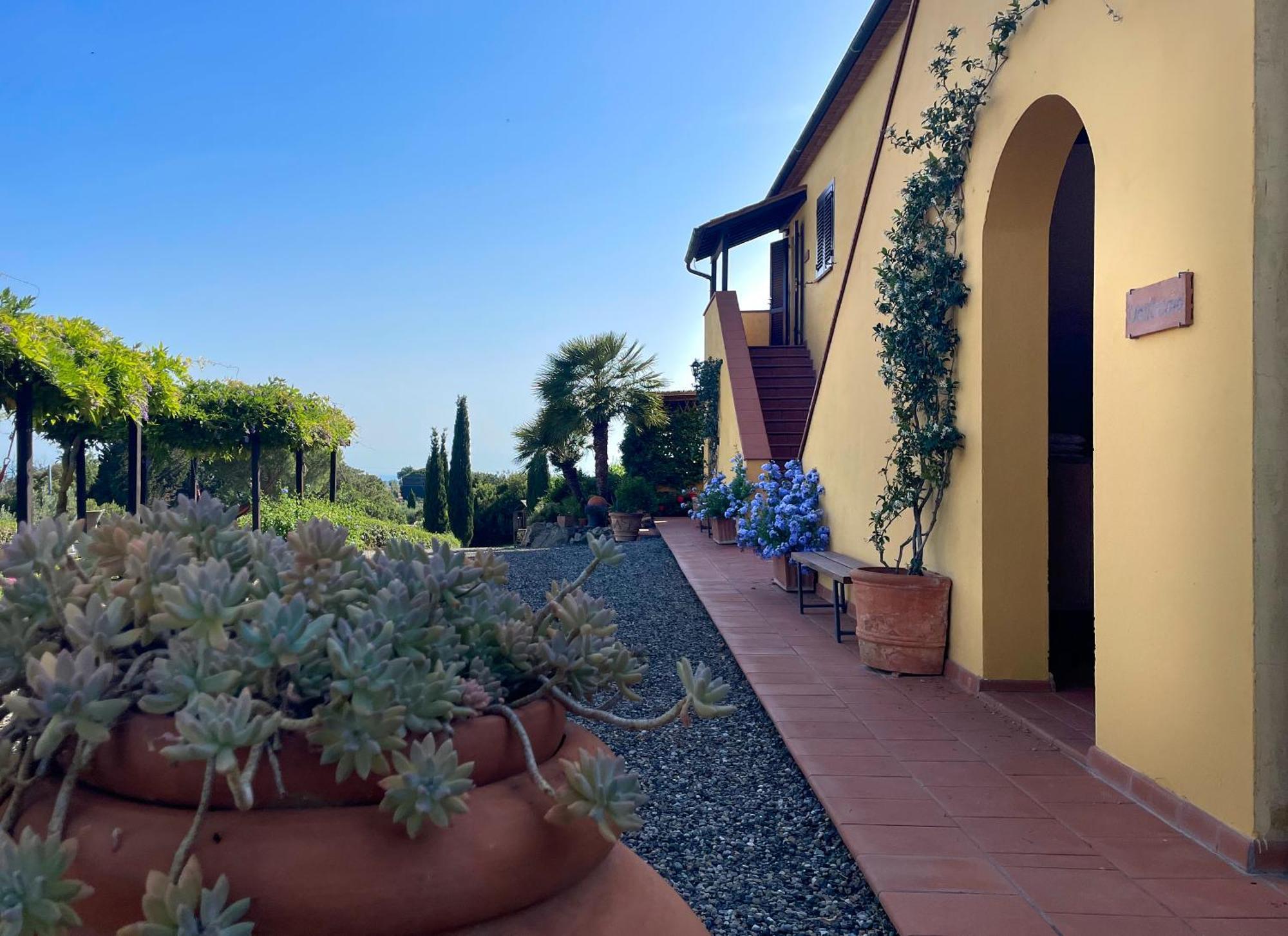 Serra Destri Riparbella Exterior foto